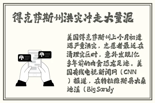 欧码的xl是亚洲码京东视频